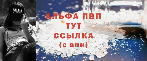 эйфоретик Баксан